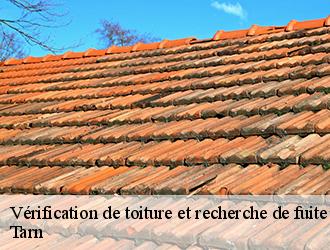 Couverture tarnaise 81: une entreprise de couverture spécialisée en travaux de fuite de toiture dans le 81 et ses environs