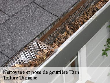 Trouver un couvreur pas cher pour l'installation de votre gouttière dans le 81