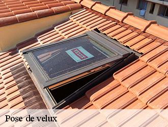 Des spécialistes en installation de velux à votre disposition dans le 81 et ses environs