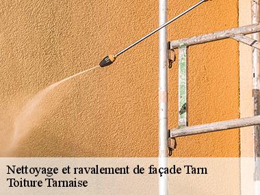 Des peintures de qualité pour vos murs extérieurs dans le 81 et ses environs