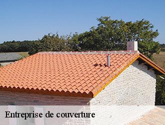 Nos prestations en travaux de couverture à Alos et ses environs