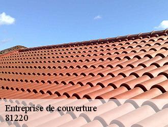 Couverture tarnaise 81 : une entreprise professionnelle de couverture à Viterbe et ses environs