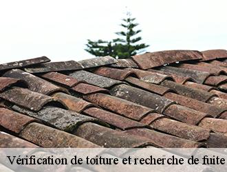  Des prestations fiables en matière de recherche de fuite de toiture avec Couverture tarnaise 81