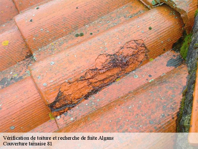 Couverture tarnaise 81: un couvreur qualifié pour réparer votre fuite de toiture à Algans et ses environs