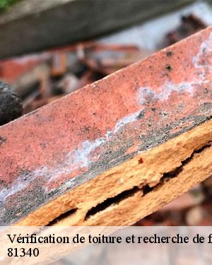 Effectuer la recherche d'une fuite de toiture avec les experts de l'entreprise Couverture tarnaise 81 dans la ville de Assac