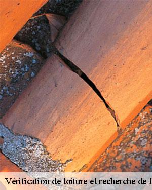 Effectuer la recherche d'une fuite de toiture avec les experts de l'entreprise Couverture tarnaise 81 dans la ville de Belleserre