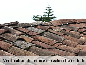Trouver un artisan pas cher pour la recherche de fuite de vos tuiles à Montvalen et ses environs