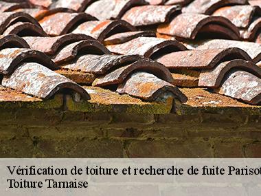 Couverture tarnaise 81: un expert en recherche de fuite de toiture à Parisot et ses environs