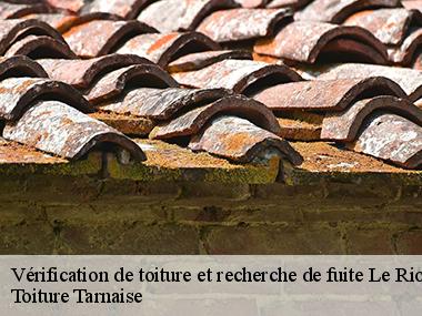 Des méthodes professionnelles en recherche de fuite de toiture avec l'entreprise Couverture tarnaise 81