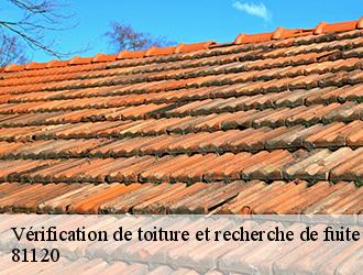 L'utilisation d'un fumigène pour détecter les fuites de toiture