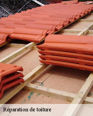 Une intervention rapide pour la réparation de votre toiture à Algans et ses environs