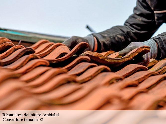 Une intervention rapide pour la réparation de votre toiture à Ambialet et ses environs