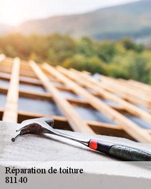 Un déplacement gratuit pour vos travaux de réparation de toiture dans toute la ville de Andillac