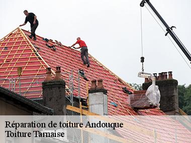 Couverture tarnaise 81: un couvreur professionnel pour réparer votre toiture à Andouque dans le 81350