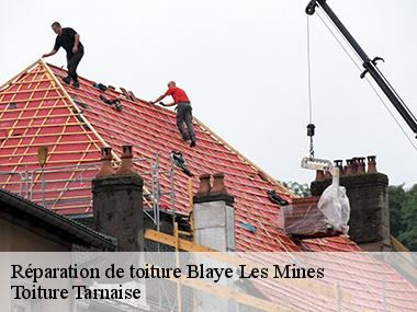 Une équipe de couvreurs qualifiés pour la réparation urgente de votre toiture à Blaye Les Mines dans le 81400