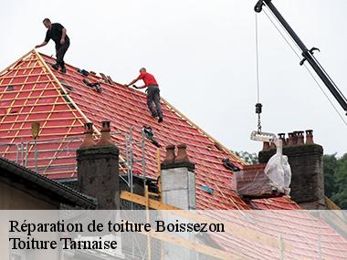 Optez pour les services de l'entreprise Toiture Tarnaise pour vos travaux de toiture à Boissezon et ses environs