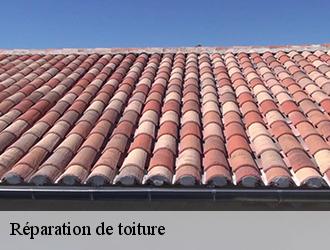 Une équipe de couvreurs qualifiés pour la réparation urgente de votre toiture à Cambounet Sur Le Sor dans le 81580