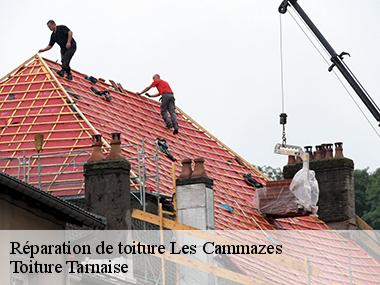 Savoir le tarif d'une réparation de toiture à Les Cammazes et ses environs dans le 81540