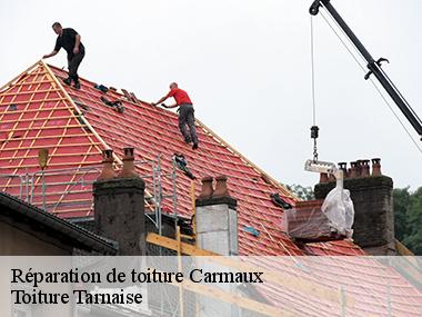 Une intervention rapide pour la réparation de votre toiture à Carmaux et ses environs