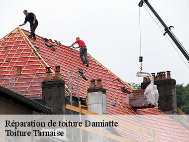 Optez pour les services de l'entreprise Couverture tarnaise 81 pour vos travaux de toiture à Damiatte et ses environs