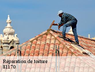 Couverture tarnaise 81: un couvreur professionnel pour réparer votre toiture à Vindrac alayrac dans le 81170