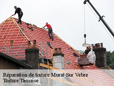 Obtenez un devis gratuit et sans engagement avec l'entreprise Toiture Tarnaise