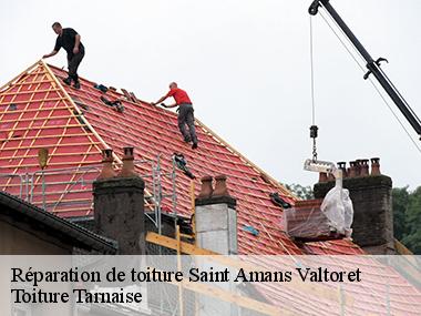 Toiture Tarnaise: une entreprise professionnelle de réparation de toiture à votre service à Saint Amans Valtoret et ses environs