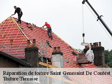 Toiture Tarnaise: une entreprise professionnelle de réparation de toiture à votre service à Saint Genesaint De Contest et ses environs