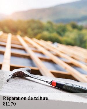 Une intervention rapide pour la réparation de votre toiture à Saint Martin Laguepie et ses environs