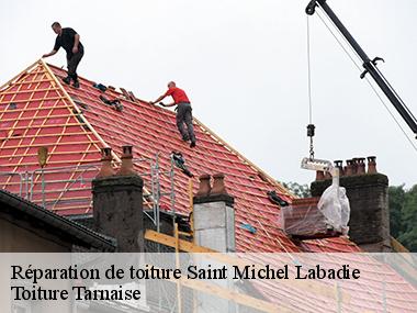 Le service de Toiture Tarnaise pour le dépannage de votre toiture dans toute la ville de Saint Michel Labadie
