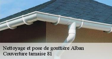 Couverture tarnaise 81: votre entreprise professionnelle de pose et de nettoyage de gouttière à Alban et ses environs