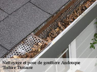 Le tarif appliqué par l'entreprise Couverture tarnaise 81 pour l'installation de votre gouttière à Andouque