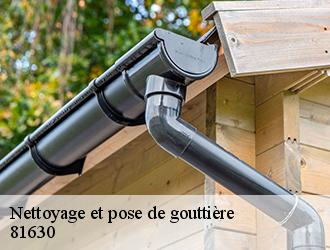 Couverture tarnaise 81: votre entreprise professionnelle de pose et de nettoyage de gouttière à Beauvais Sur Tescou et ses environs