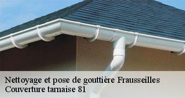 Couverture tarnaise 81: un couvreur spécialisé pour vos travaux de gouttière à Frausseilles et ses environs