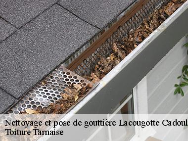 Le nettoyage de votre gouttière avec des artisans compétents dans toute la ville de Lacougotte Cadoul