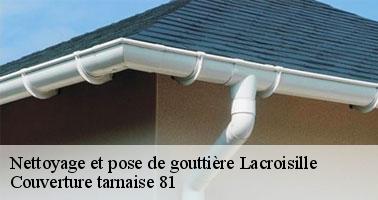 Un service de nettoyage de gouttière à Lacroisille et ses environs