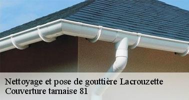 Couverture tarnaise 81: un couvreur spécialisé pour vos travaux de gouttière à Lacrouzette et ses environs