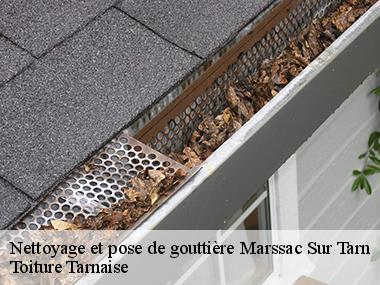 Entreprise agrée en nettoyage et pose de gouttière travaille à Marssac Sur Tarn