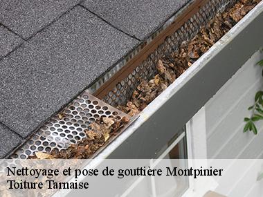Toiture Tarnaise : une entreprise professionnelle en nettoyage et pose de gouttières à Montpinier et ses environs