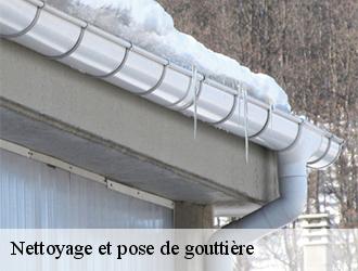 Couverture tarnaise 81: un couvreur spécialisé pour vos travaux de gouttière à Prades et ses environs