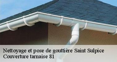 Couverture tarnaise 81 : une entreprise professionnelle en nettoyage et pose de gouttières à Saint Sulpice et ses environs