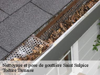 Couverture tarnaise 81 : une entreprise professionnelle en nettoyage et pose de gouttières à Saint Sulpice et ses environs