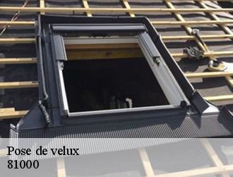 Les différents types de velux disponibles à Albi