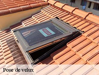 Entreprise de pose de fenêtre de toit à Blaye Les Mines 81400
