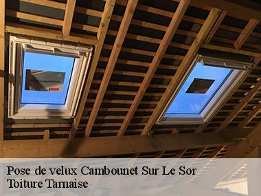 Assurez vos travaux de pose de velux avec l'entreprise Toiture Tarnaise