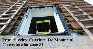 Couverture tarnaise 81: votre entreprise professionnelle en pose de velux à Castelnau De Montmiral et ses environs