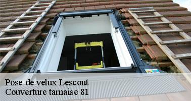 Les avantages d'avoir une fenêtre de toit à Lescout