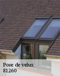 Entreprise de pose de fenêtre de toit à Le Margnes 81260