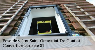 Entreprise de pose de fenêtre de toit à Saint Genesaint De Contest 81440