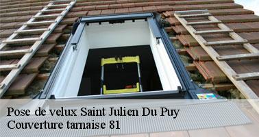 Entreprise de pose de fenêtre de toit à Saint Julien Du Puy 81440